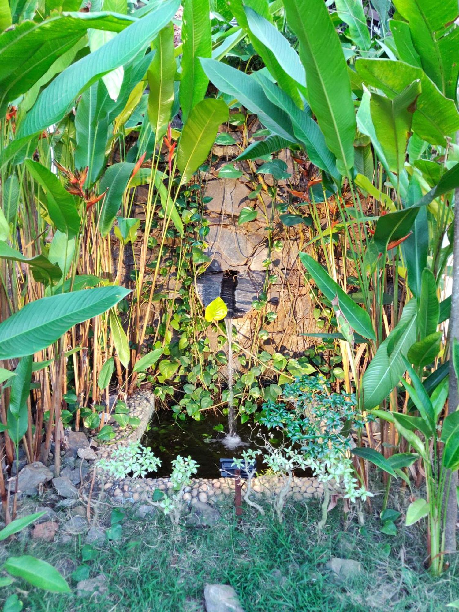 Rock Forest Goa Honeymoon Cottages Calangute Exterior foto